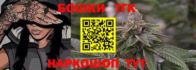 индика Новоалтайск