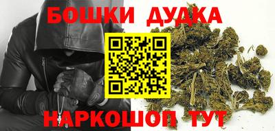 индика Новоалтайск