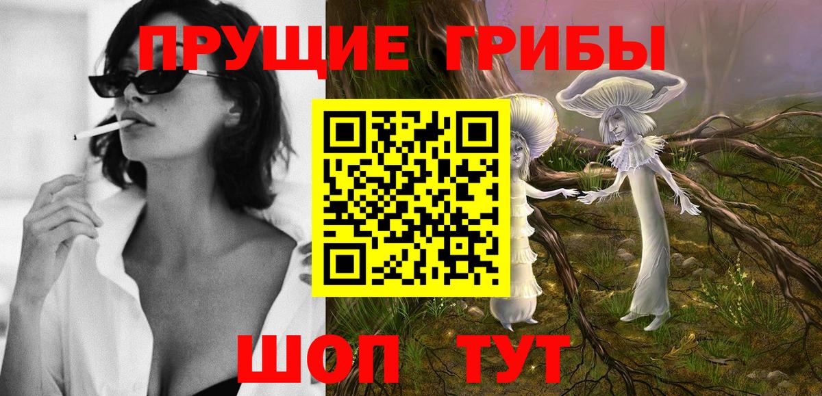 Псилоцибиновые грибы ЛСД  купить  сайты  Алатырь  Вход с VPN 
